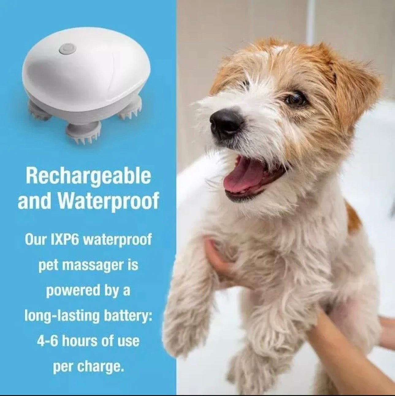 MASAJEADOR SENSITIVO PARA MASCOTAS