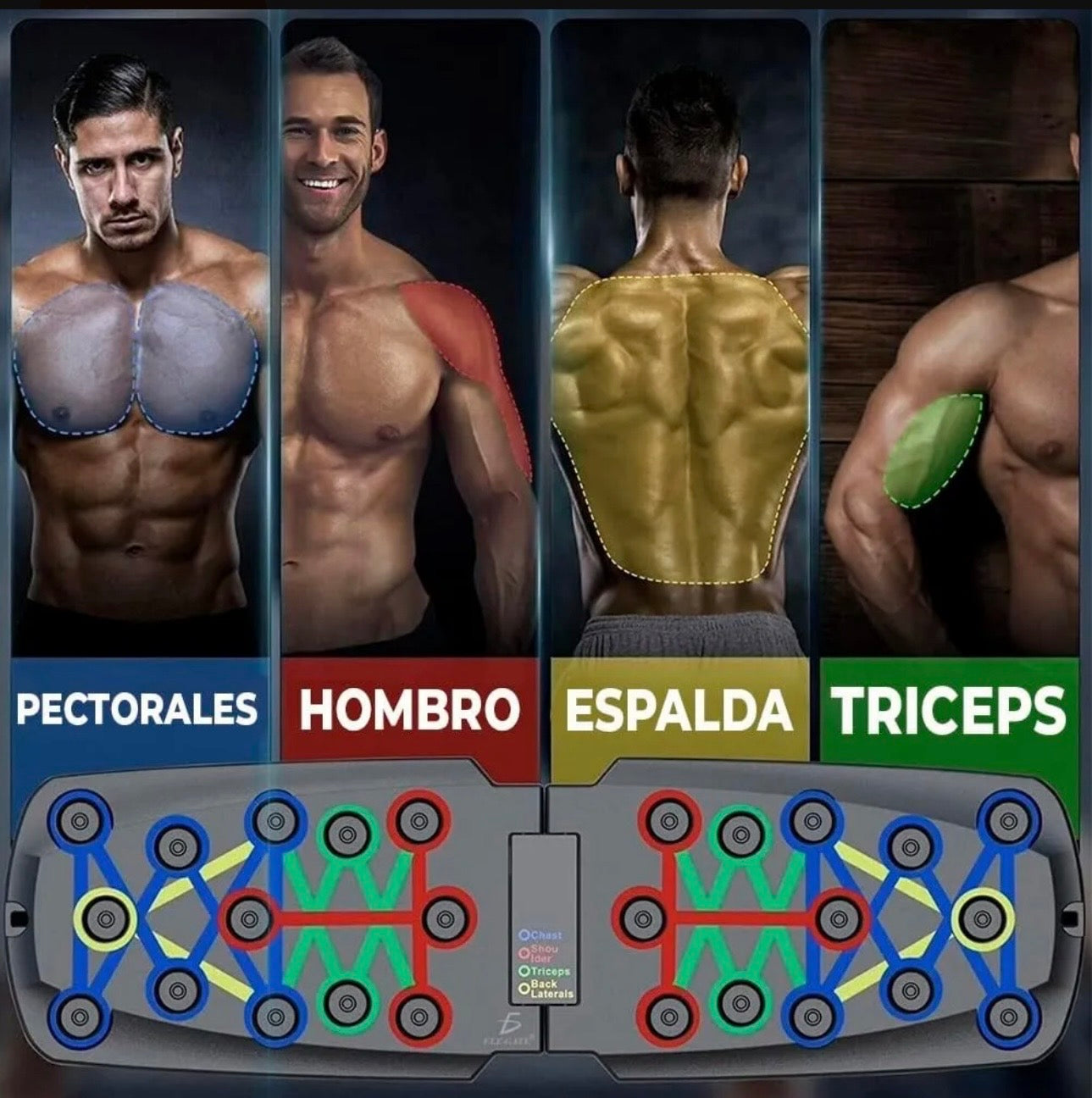 TABLA ENTRENAMIENTO DE FLEXIONES